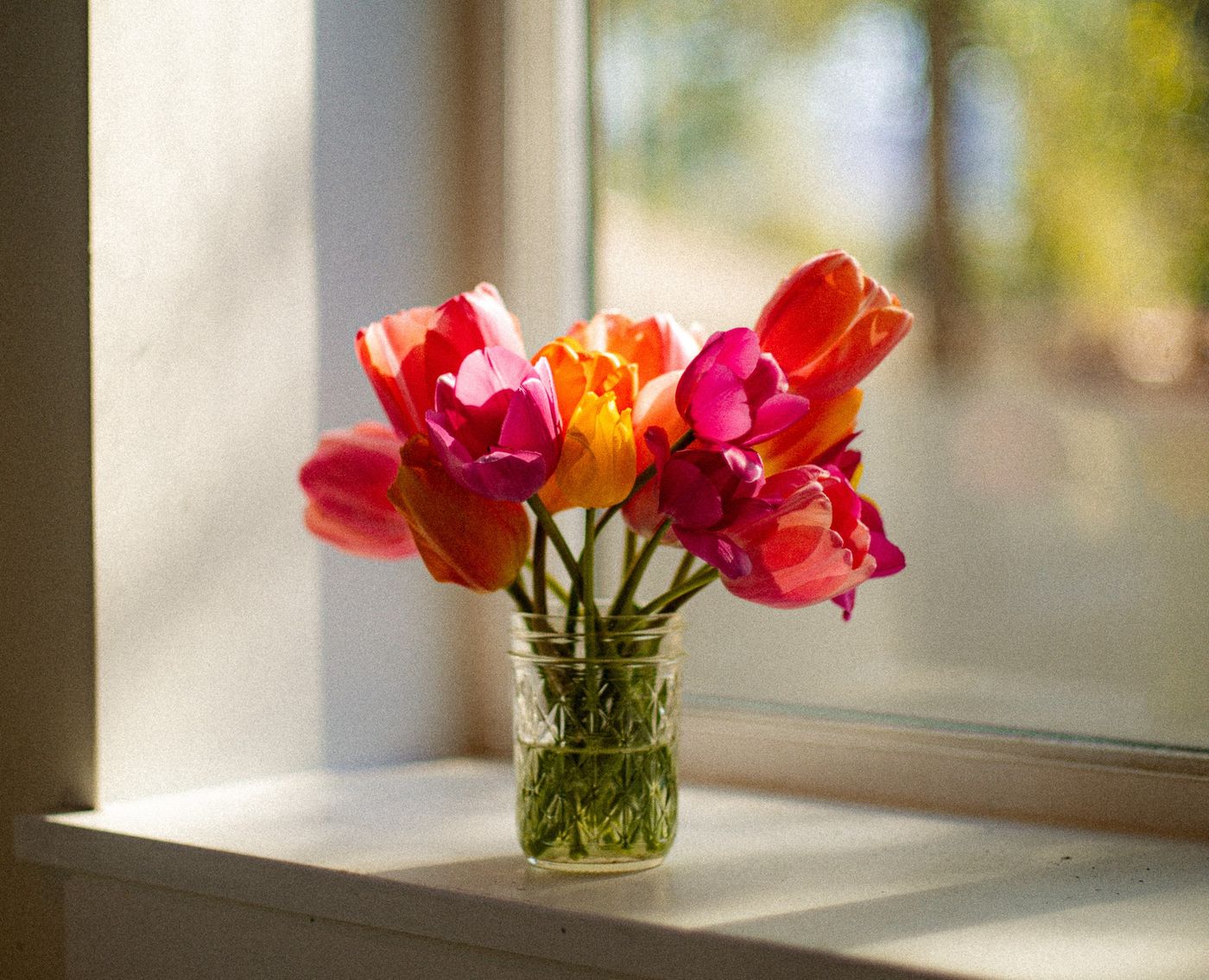 Tulips in a vase by a window