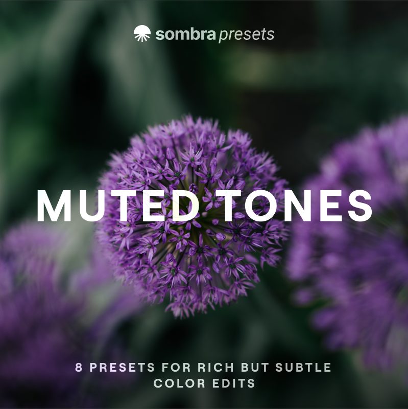 Muted Tones: 8 presets for rich but subtle color edits